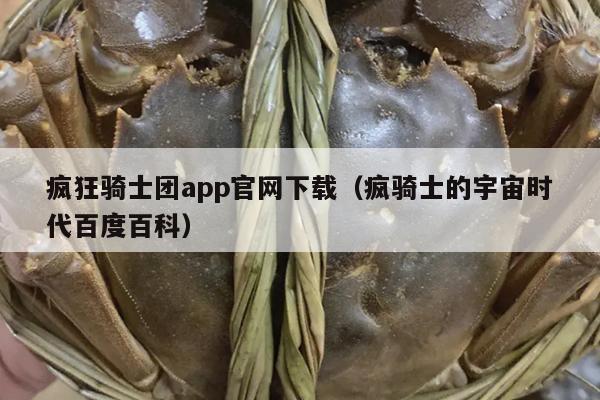 疯狂骑士团app官网下载（疯骑士的宇宙时代百度百科）