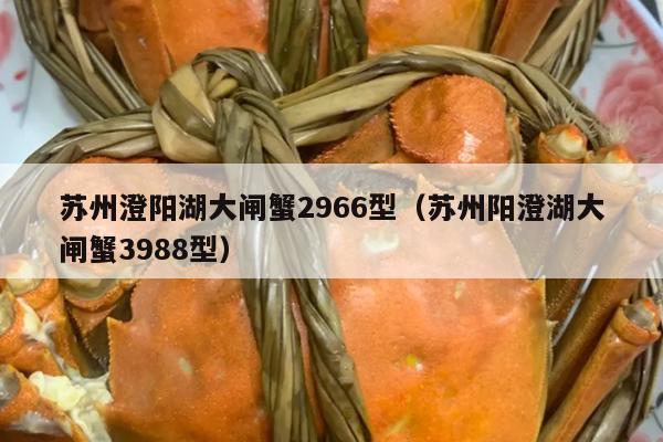 苏州澄阳湖大闸蟹2966型（苏州阳澄湖大闸蟹3988型）