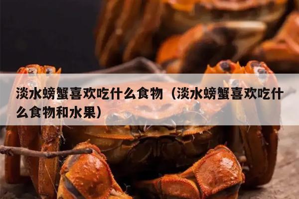 淡水螃蟹喜欢吃什么食物（淡水螃蟹喜欢吃什么食物和水果）