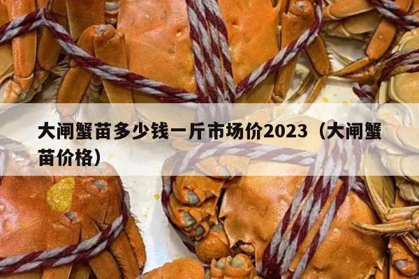 大闸蟹苗多少钱一斤市场价2023（大闸蟹苗价格）