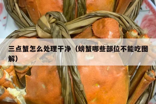 三点蟹怎么处理干净（螃蟹哪些部位不能吃图解）