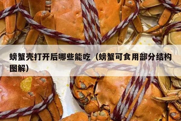 螃蟹壳打开后哪些能吃（螃蟹可食用部分结构图解）