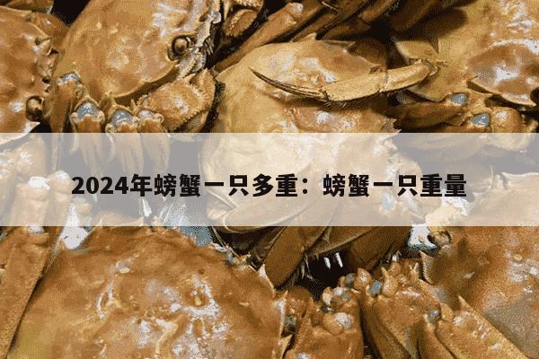 2024年螃蟹一只多重：螃蟹一只重量