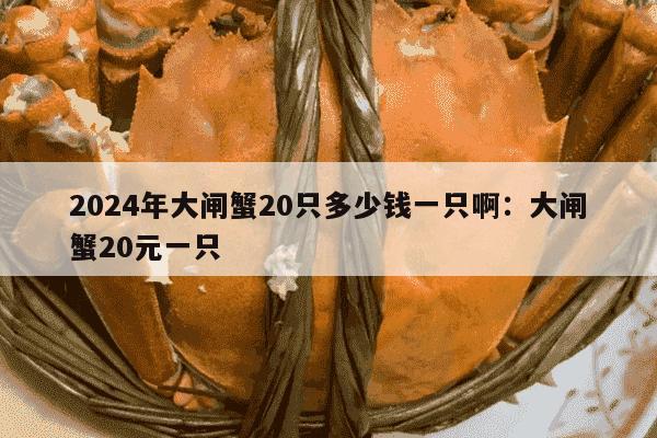 2024年大闸蟹20只多少钱一只啊：大闸蟹20元一只