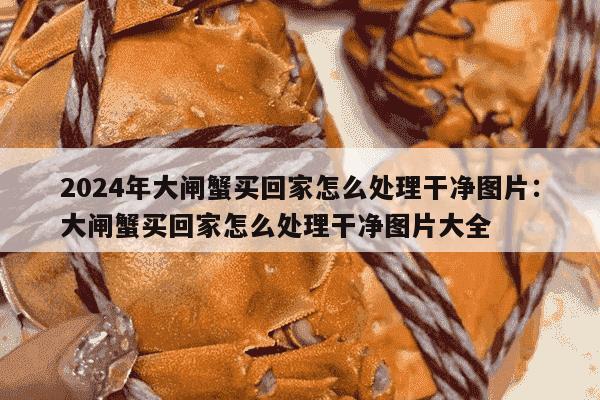 2024年大闸蟹买回家怎么处理干净图片：大闸蟹买回家怎么处理干净图片大全