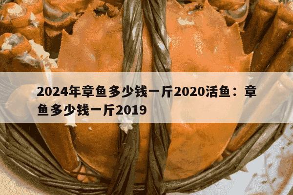 2024年章鱼多少钱一斤2020活鱼：章鱼多少钱一斤2019