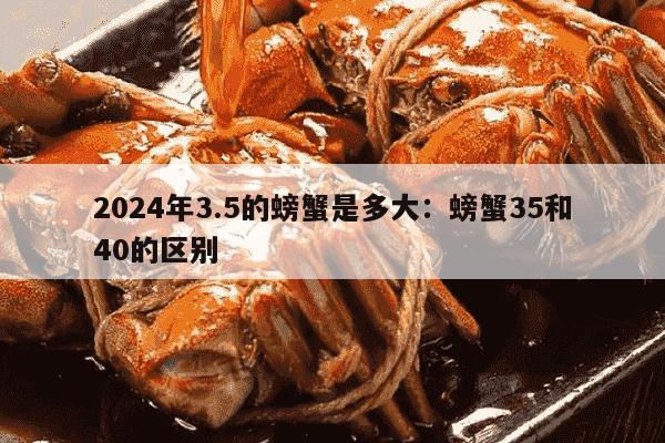 2024年3.5的螃蟹是多大：螃蟹35和40的区别