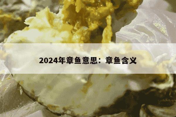 2024年章鱼意思：章鱼含义