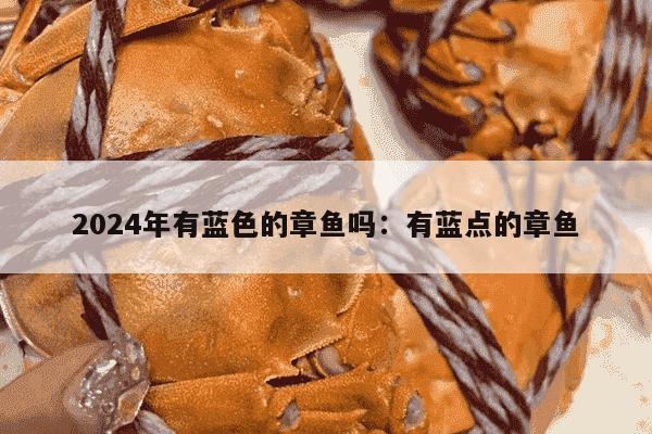 2024年有蓝色的章鱼吗：有蓝点的章鱼